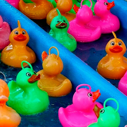 Pêche aux canards Pêche aux canards